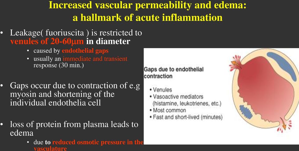 transient response (30 min.) Gaps occur due to contraction of e.