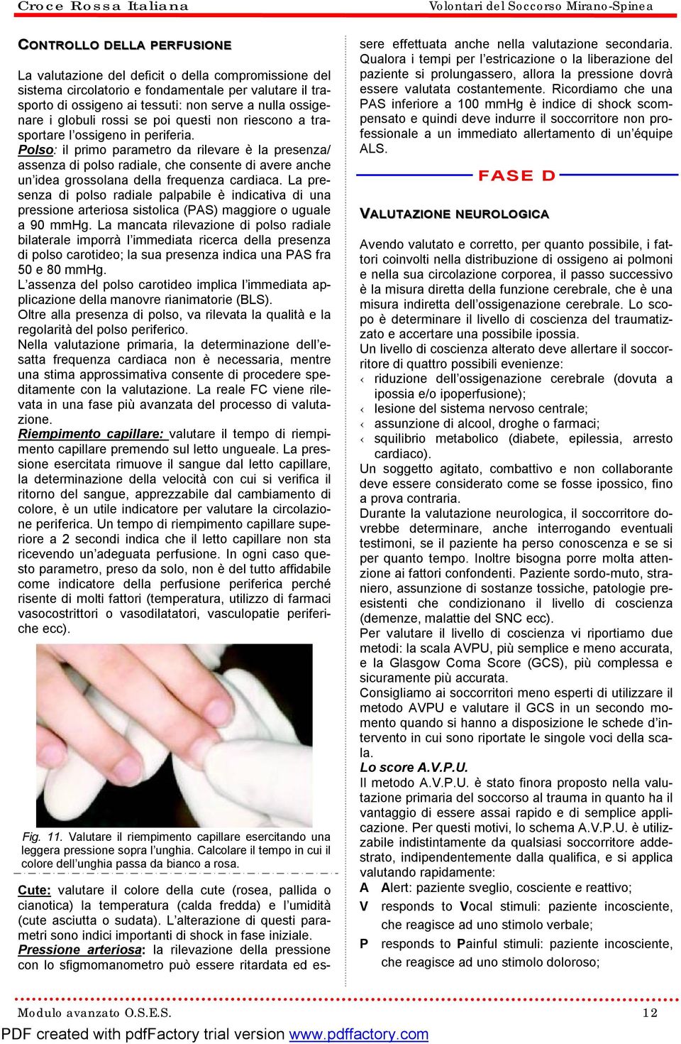 Polso: il primo parametro da rilevare è la presenza/ assenza di polso radiale, che consente di avere anche un idea grossolana della frequenza cardiaca.