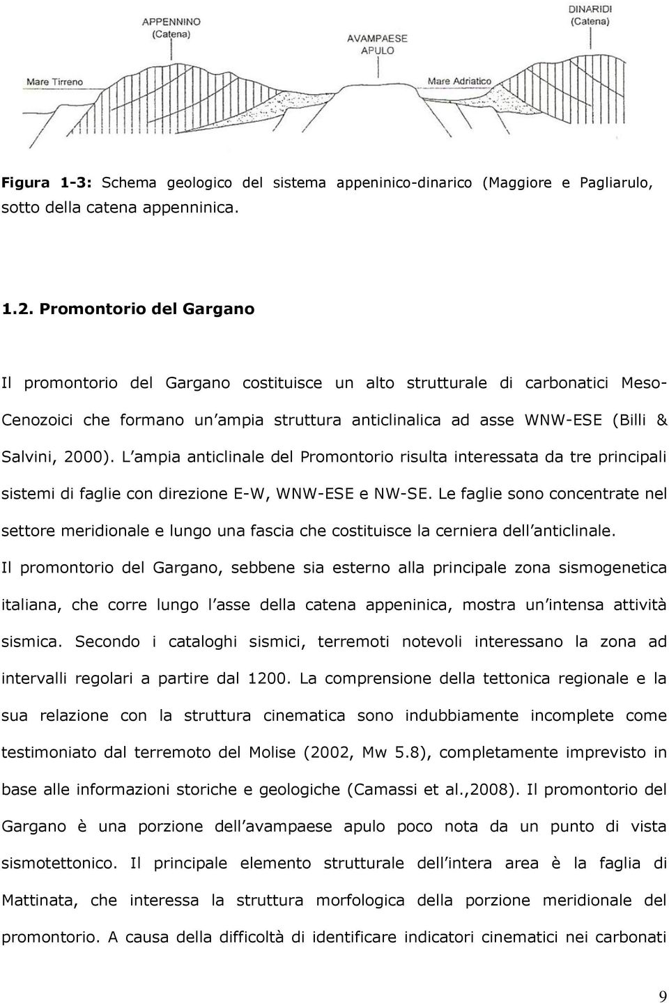 Promontorio del Gargano Il promontorio del Gargano costituisce un alto strutturale di carbonatici Meso- Cenozoici che formano un ampia struttura anticlinalica ad asse WNW-ESE (Billi & Salvini, 2000).