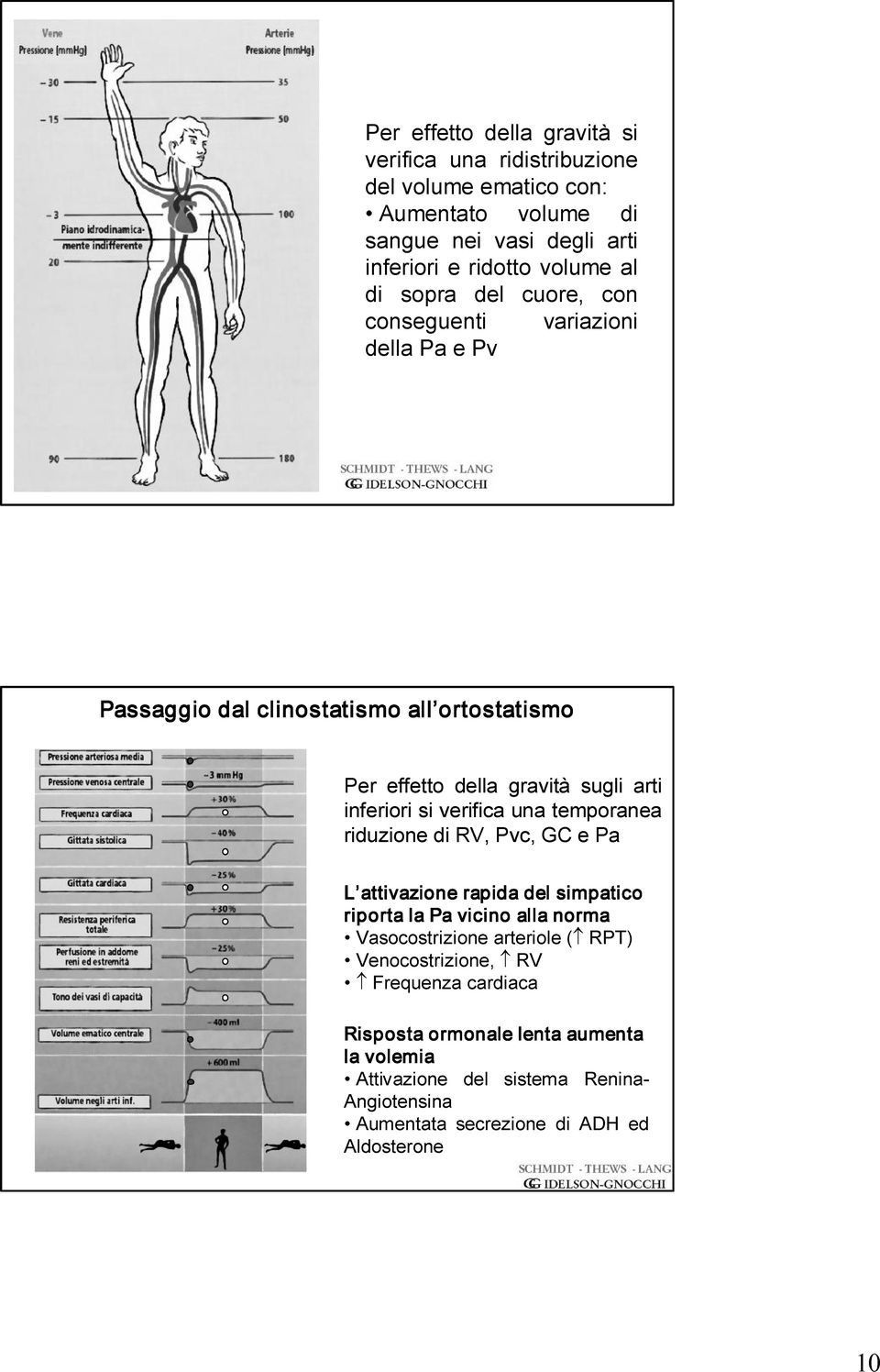 verifica una temporanea riduzione di RV, Pvc, GC e Pa L attivazione rapida del simpatico riporta la Pa vicino alla norma Vasocostrizione arteriole ( RPT)