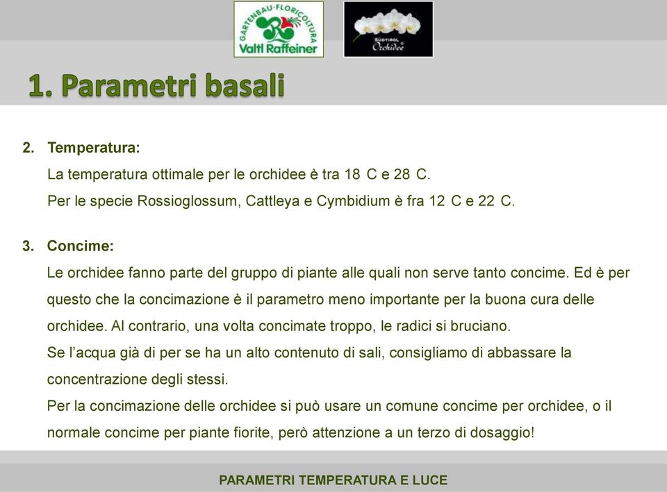 Ed è per questo che la concimazione è il parametro meno importante per la buona cura delle orchidee. Al contrario, una volta concimate troppo, le radici si bruciano.