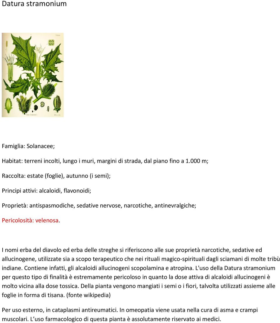 I nomi erba del diavolo ed erba delle streghe si riferiscono alle sue proprietà narcotiche, sedative ed allucinogene, utilizzate sia a scopo terapeutico che nei rituali magico-spirituali dagli