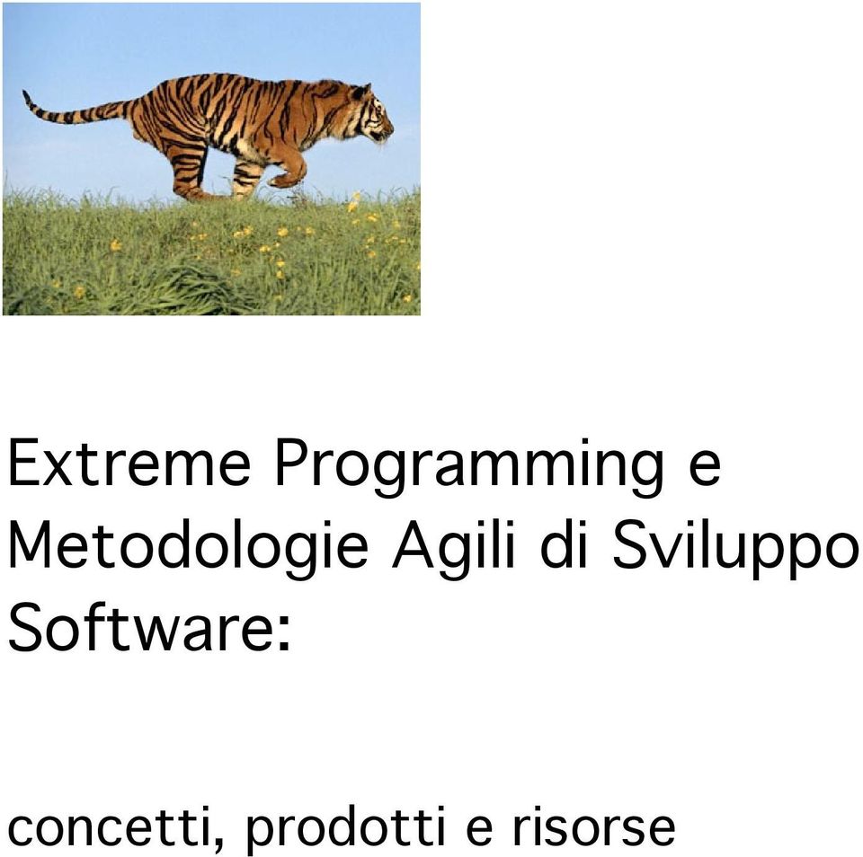 Sviluppo Software: