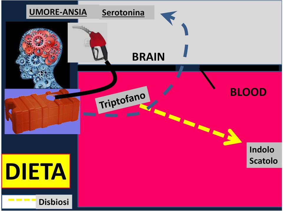 BRAIN BLOOD