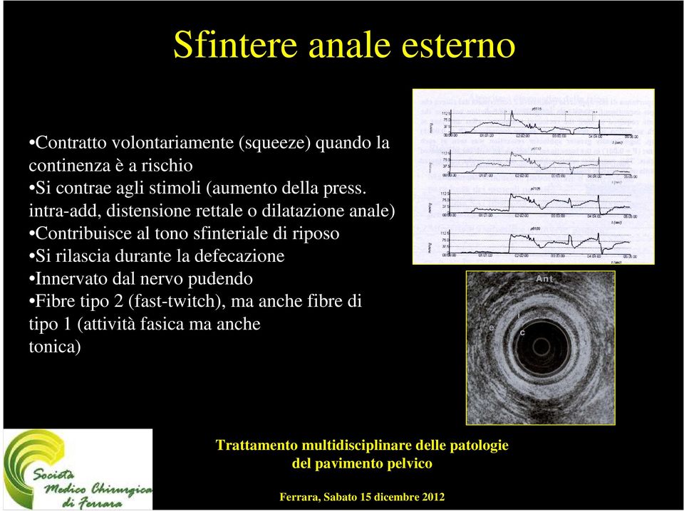 intra-add, distensione rettale o dilatazione anale) Contribuisce al tono sfinteriale di riposo