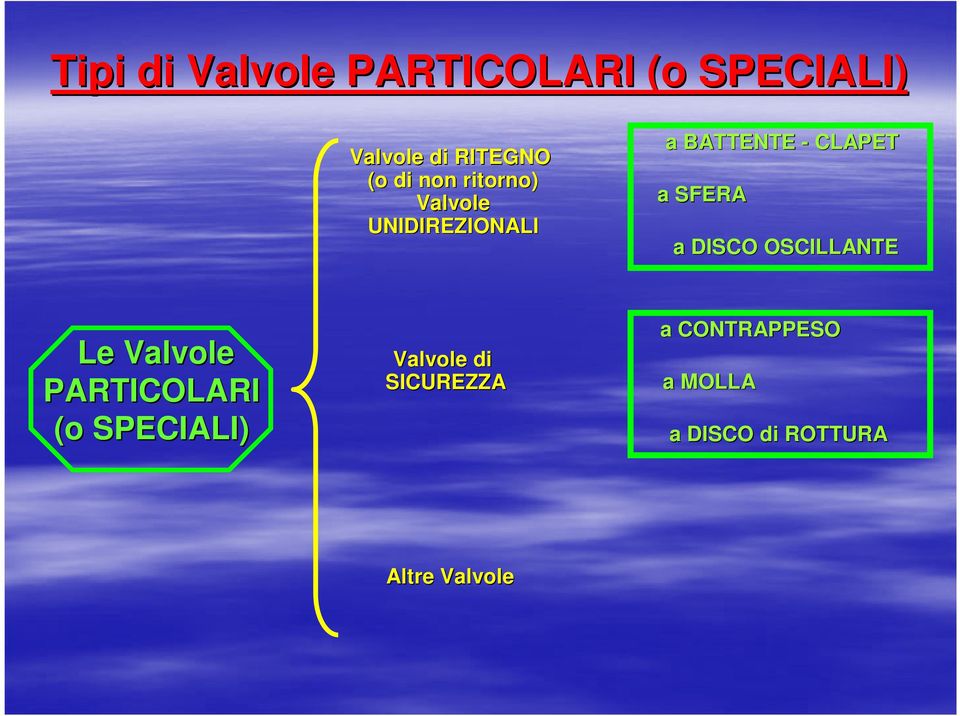 SFERA a DISCO OSCILLANTE Le Valvole PARTICOLARI (o SPECIALI)