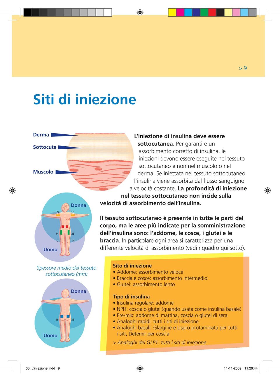 Se iniettata nel tessuto sottocutaneo l insulina viene assorbita dal flusso sanguigno a velocità costante.