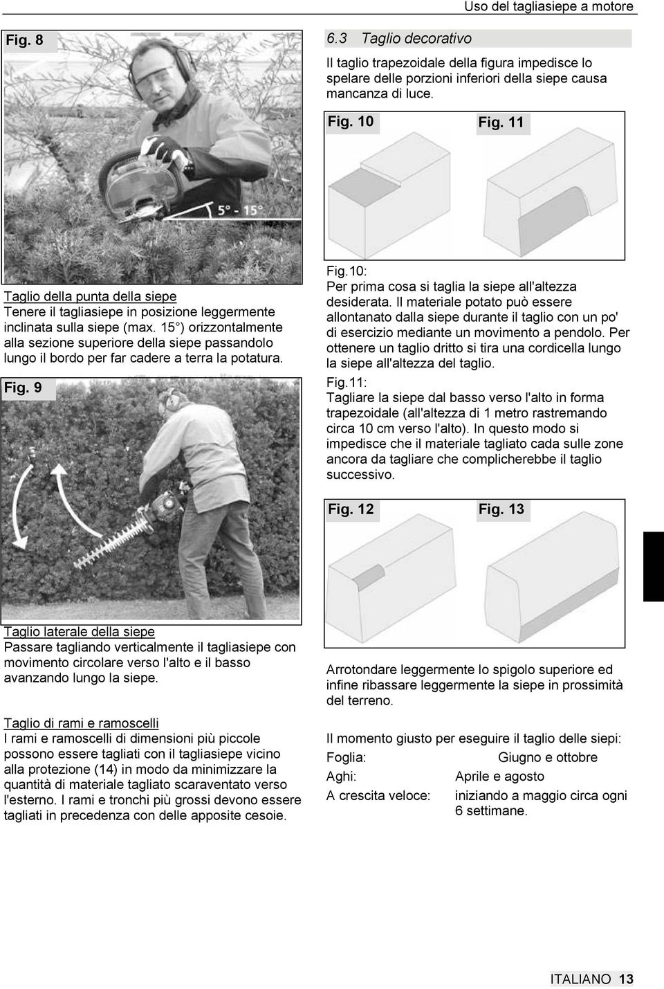 15 ) orizzontalmente alla sezione superiore della siepe passandolo lungo il bordo per far cadere a terra la potatura. Fig. 9 Fig.10: Per prima cosa si taglia la siepe all'altezza desiderata.