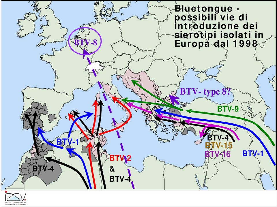 Europa dal 1998 BTV- type 8?