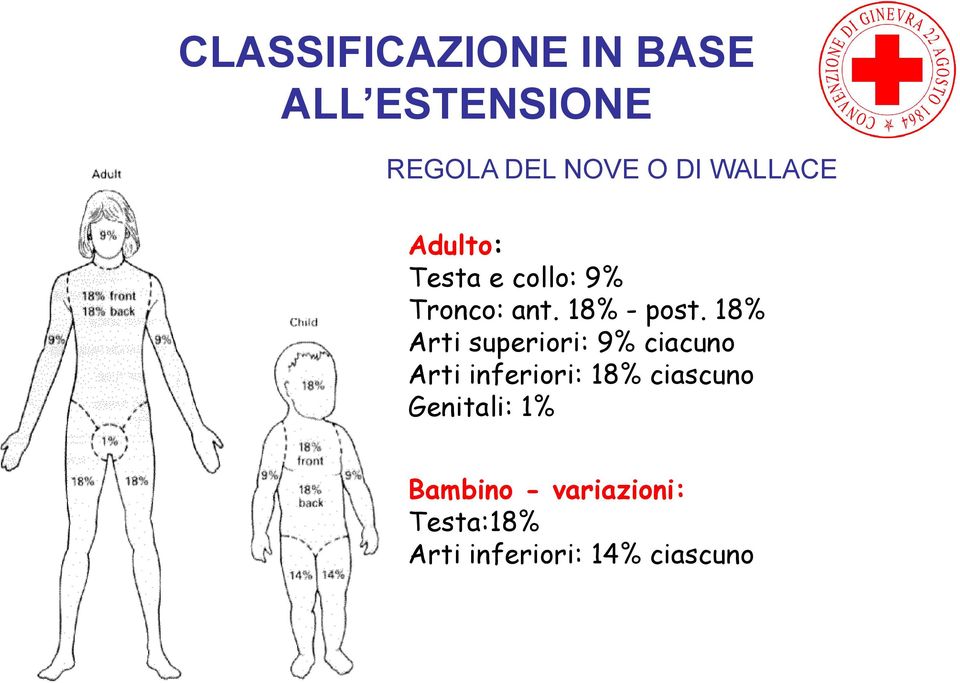 18% Arti superiori: 9% ciacuno Arti inferiori: 18% ciascuno