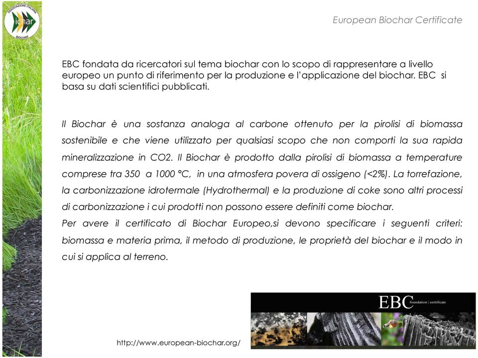 Il Biochar è una sostanza analoga al carbone ottenuto per la pirolisi di biomassa sostenibile e che viene utilizzato per qualsiasi scopo che non comporti la sua rapida mineralizzazione in CO2.