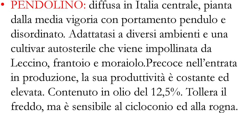 Adattatasi a diversi ambienti e una cultivar autosterile che viene impollinata da Leccino,