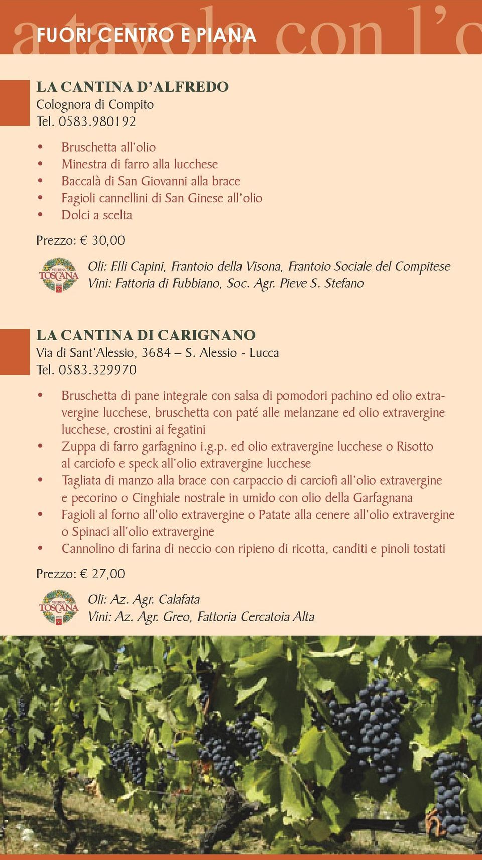 lli Capini, Frantoio della Visona, Frantoio Sociale del Compitese Vini: Fattoria di Fubbiano, Soc. Agr. Pieve S. Stefano LA CANTINA DI CARIGNANO Via di Sant Alessio, 3684 S. Alessio - Lucca Tel. 0583.