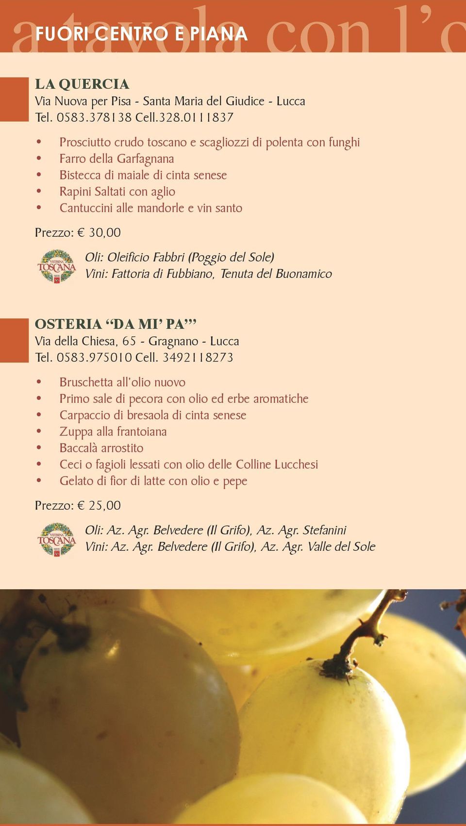 30,00 Oli: Oleificio Fabbri (Poggio del Sole) Vini: Fattoria di Fubbiano, Tenuta del Buonamico OSTERIA DA MI PA Via della Chiesa, 65 - Gragnano - Lucca Tel. 0583.975010 Cell.