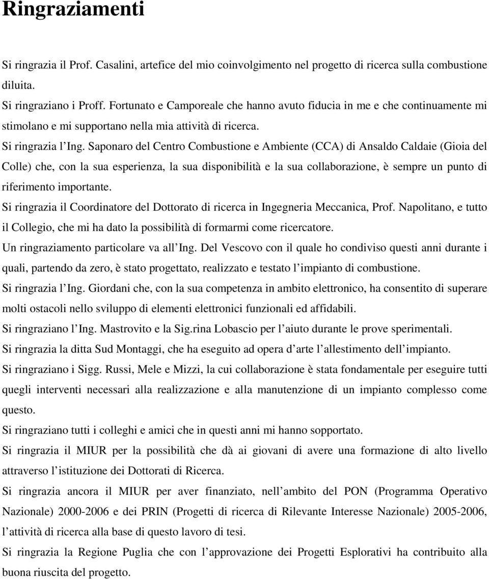 Saponaro del Centro Combustione e Ambiente (CCA) di Ansaldo Caldaie (Gioia del Colle) che, con la sua esperienza, la sua disponibilità e la sua collaborazione, è sempre un punto di riferimento