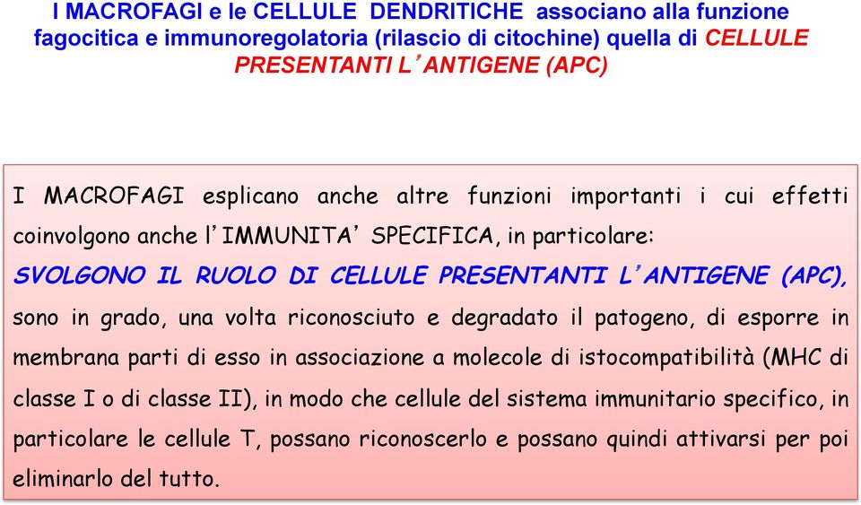 ANTIGENE (APC), sono in grado, una volta riconosciuto e degradato il patogeno, di esporre in membrana parti di esso in associazione a molecole di istocompatibilità (MHC di