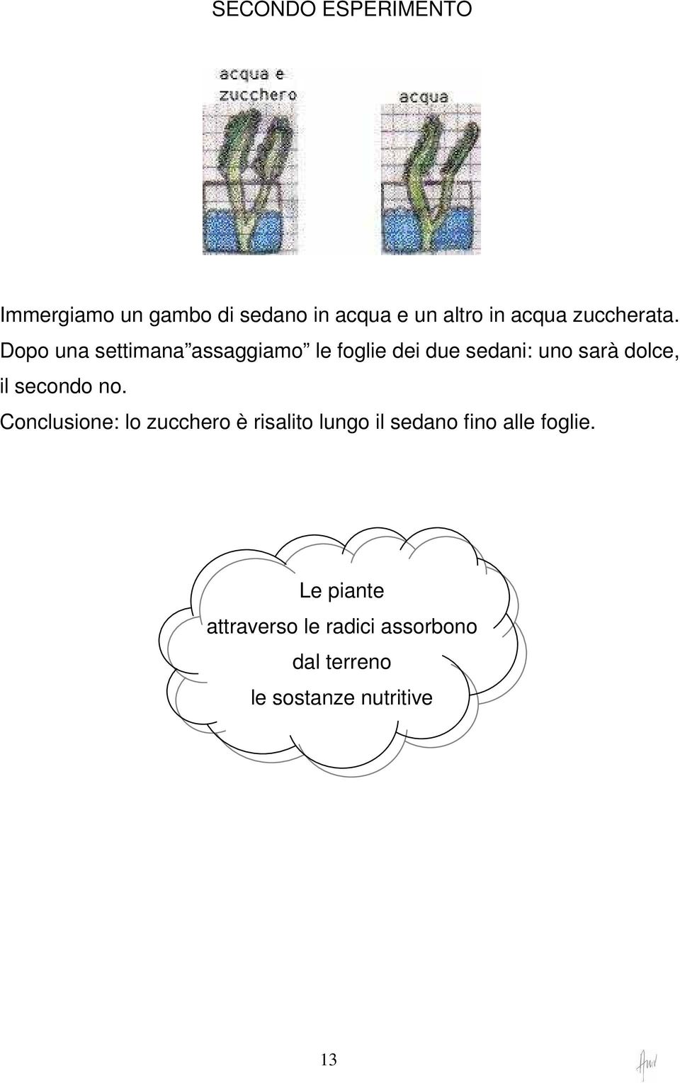 Dopo una settimana assaggiamo le foglie dei due sedani: uno sarà dolce, il