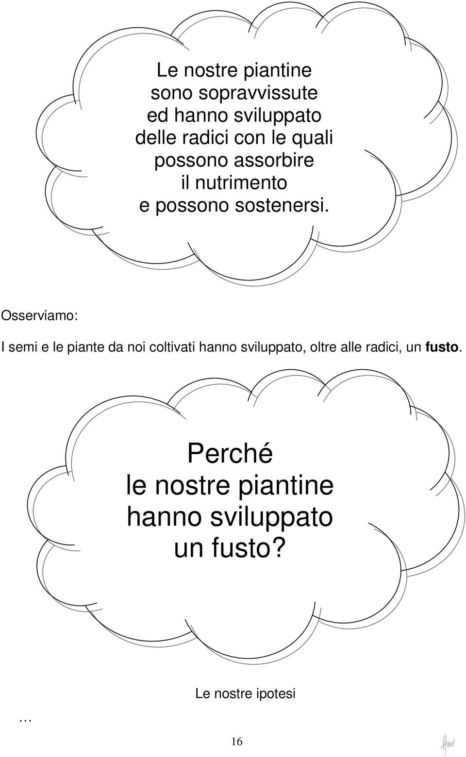 Osserviamo: I semi e le piante da noi coltivati hanno sviluppato, oltre alle