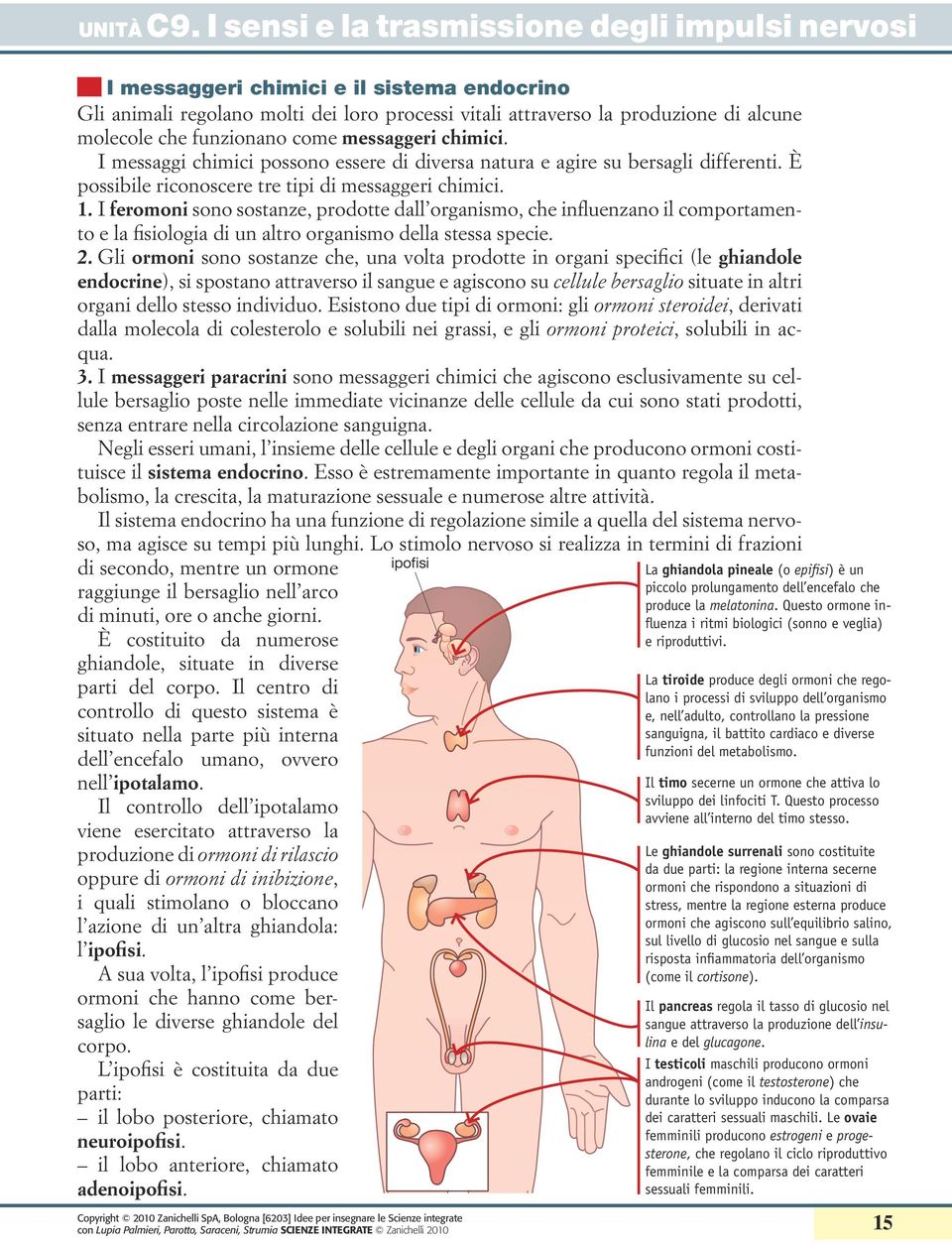 I feromoni sono sostanze, prodotte dall organismo, che influenzano il comportamento e la fisiologia di un altro organismo della stessa specie. 2.