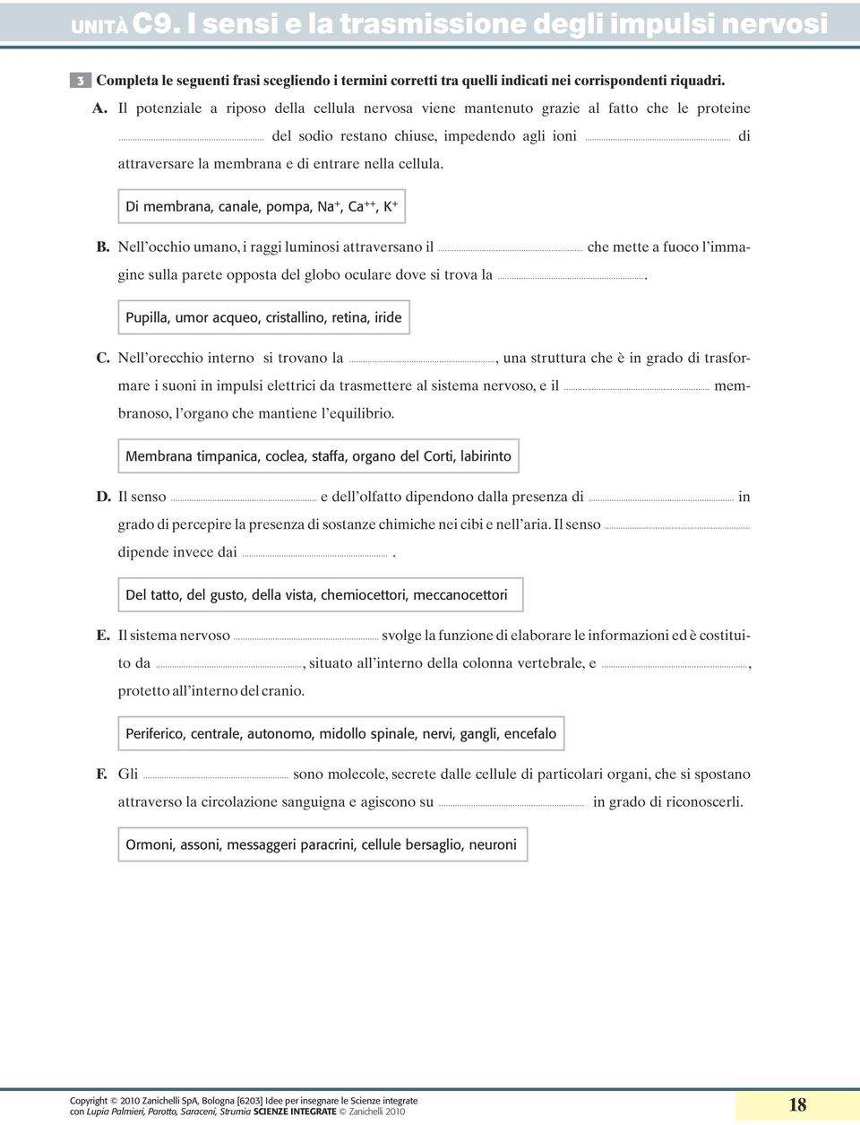 di Di membrana, canale, pompa,, Ca ++, B. Nell occhio umano, i raggi luminosi attraversano il che mette a fuoco l immagine sulla parete opposta del globo oculare dove si trova la.