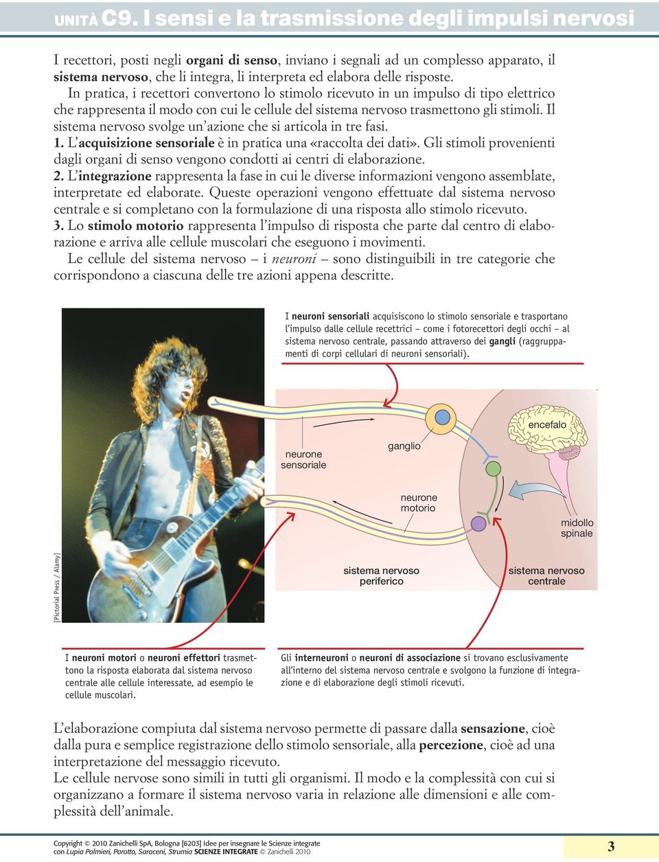 Il sistema nervoso svolge un azione che si articola in tre fasi. 1. L acquisizione sensoriale è in pratica una «raccolta dei dati».