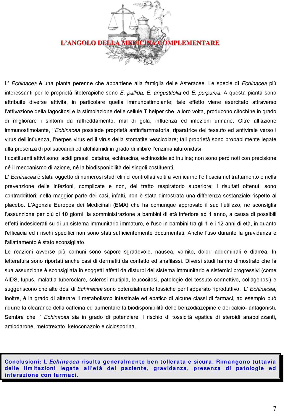 A questa pianta sono attribuite diverse attività, in particolare quella immunostimolante; tale effetto viene esercitato attraverso l attivazione della fagocitosi e la stimolazione delle cellule T