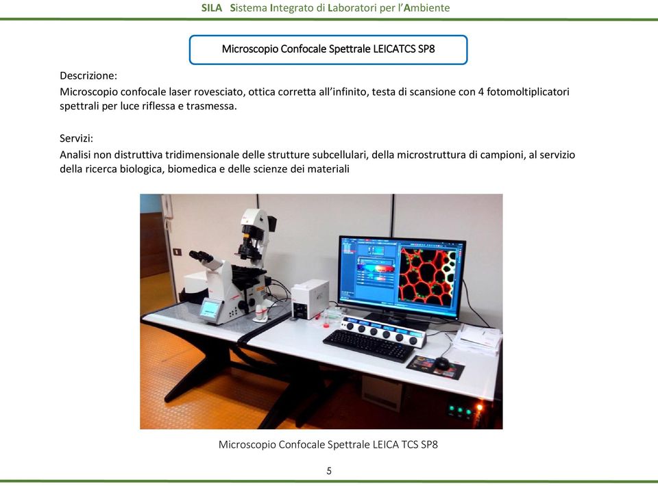 Analisi non distruttiva tridimensionale delle strutture subcellulari, della microstruttura di campioni, al