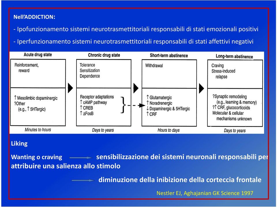 Liking Wantingo craving sensibilizzazione dei sistemi neuronali responsabili per attribuire una