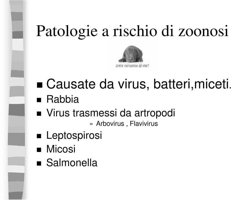 Rabbia Virus trasmessi da artropodi»