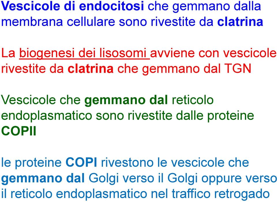 dal reticolo endoplasmatico sono rivestite dalle proteine COPII le proteine COPI rivestono le