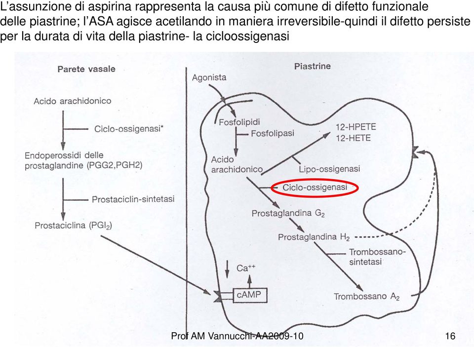 in maniera irreversibile-quindi il difetto persiste per la