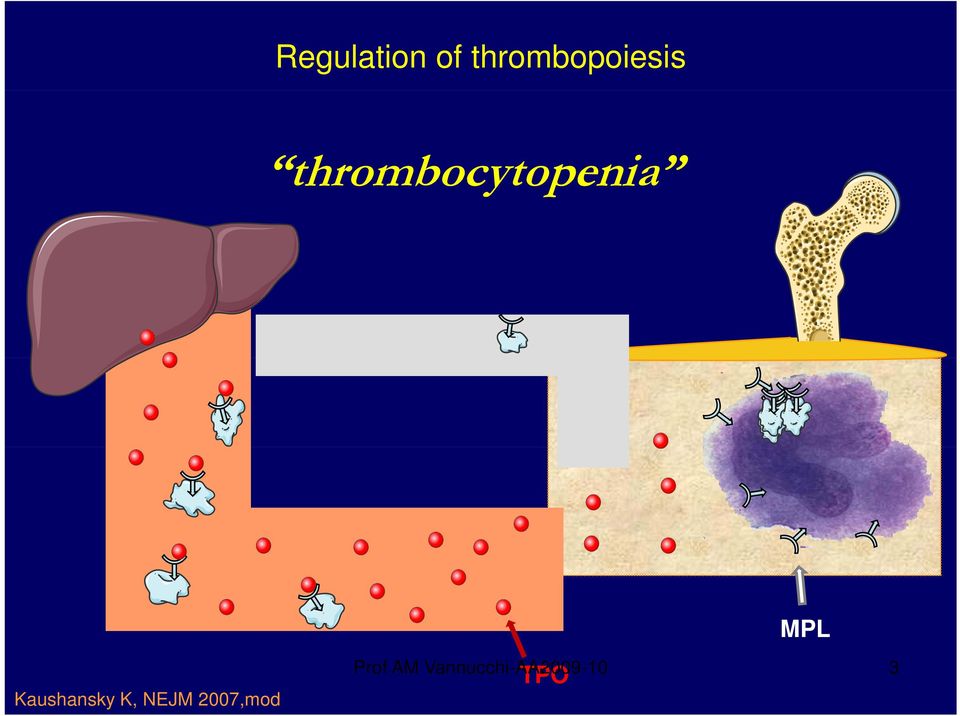 thrombocytopenia