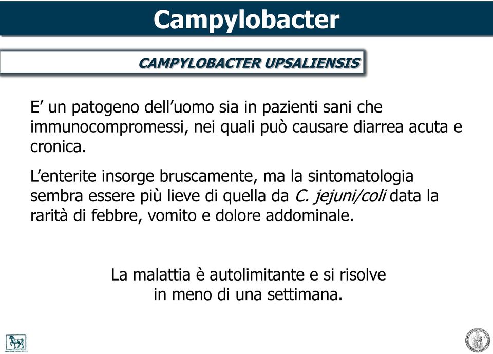 L enterite insorge bruscamente, ma la sintomatologia sembra essere più lieve di quella da C.