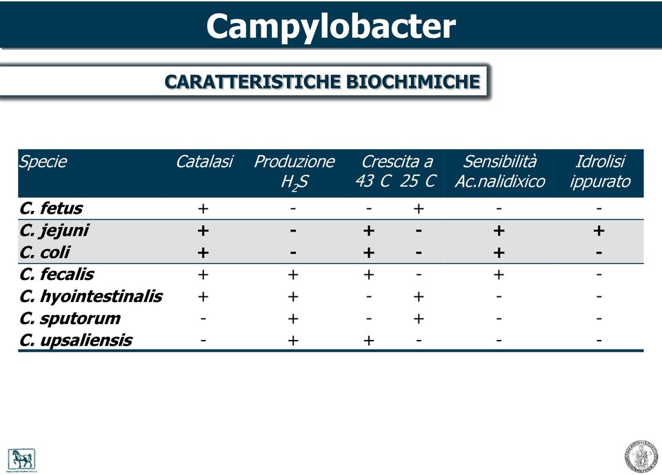 fetus + - - + - - C. jejuni + - + - + + C. coli + - + - + - C.