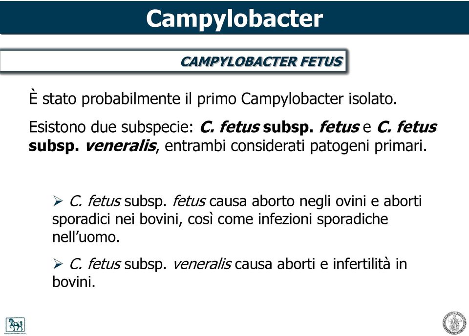 C. fetus subsp.