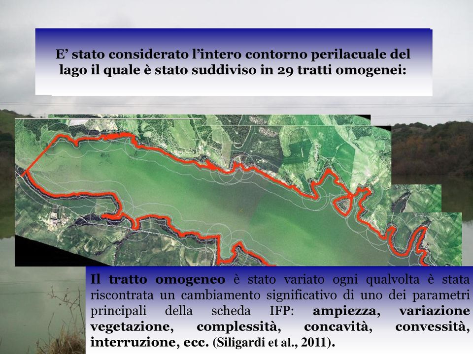 significativo di uno dei parametri I tratti omogenei sono stati individuati sul campo e principali della scheda IFP: ampiezza, variazione dall esame della foto aerea