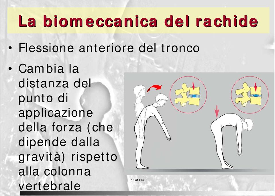 punto di applicazione della forza (che dipende