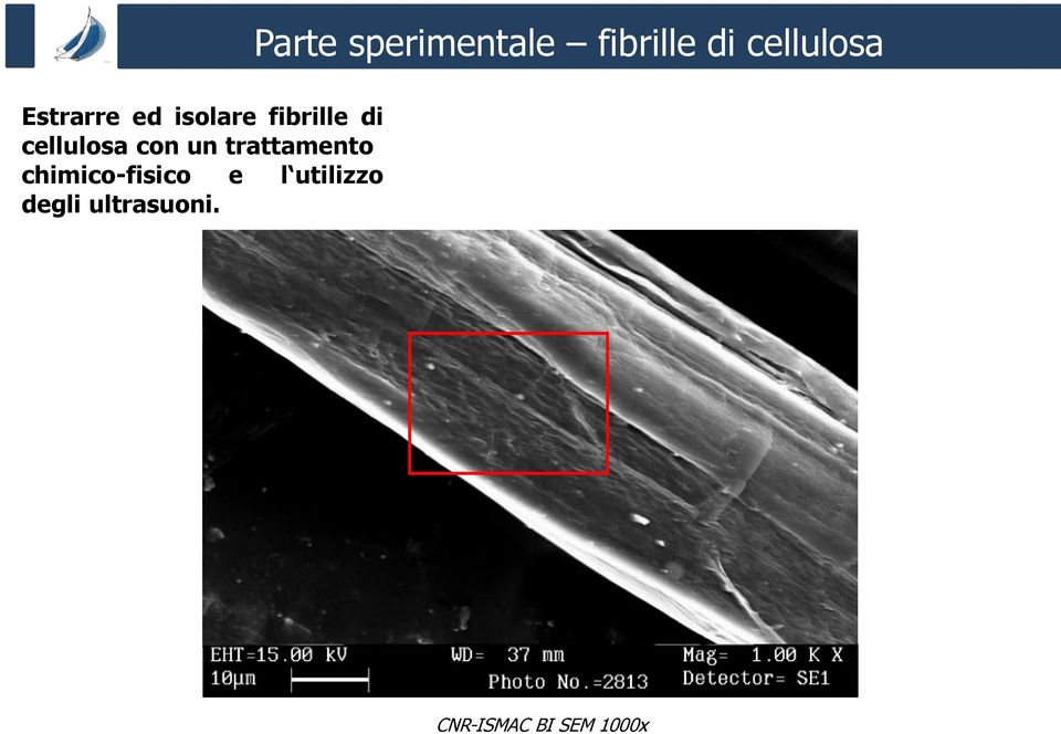 utilizzo degli ultrasuoni.