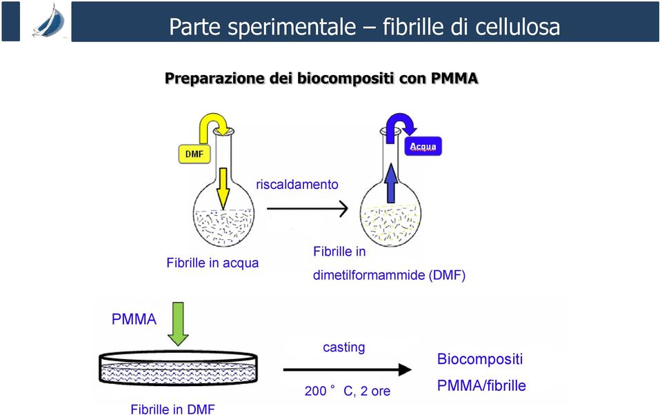 acqua Fibrille in dimetilformammide (DMF) PMMA