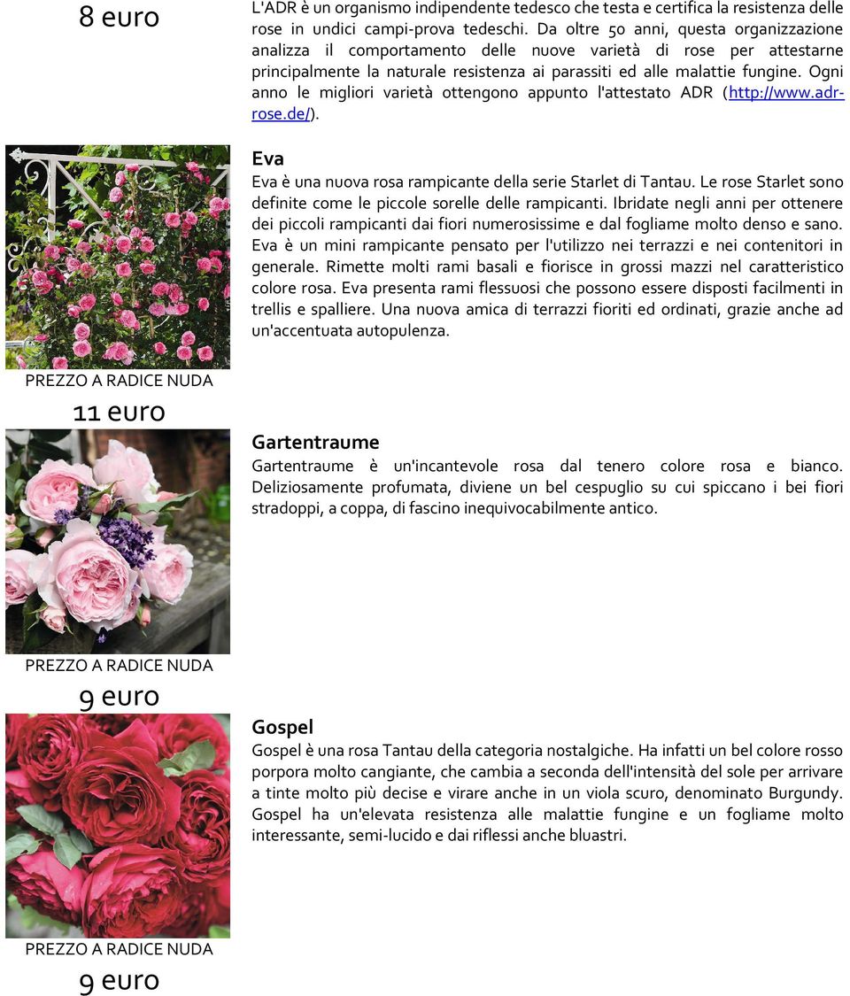 Ogni anno le migliori varietà ottengono appunto l'attestato ADR (http://www.adrrose.de/). Eva Eva è una nuova rosa rampicante della serie Starlet di Tantau.