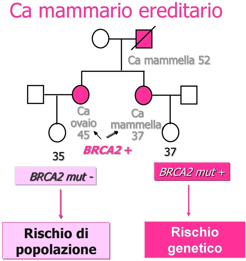 + Ca mammella, 37 37 BRCA2 mut +