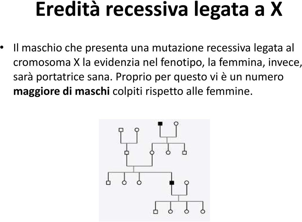 fenotipo, la femmina, invece, sarà portatrice sana.