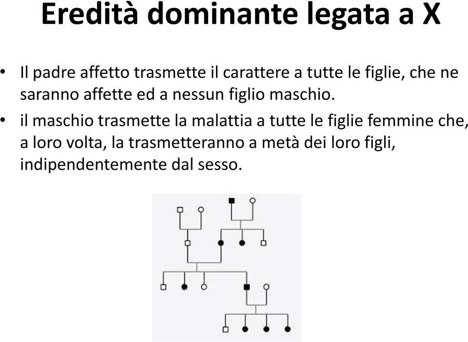 il maschio trasmette la malattia a tutte le figlie femmine che, a loro