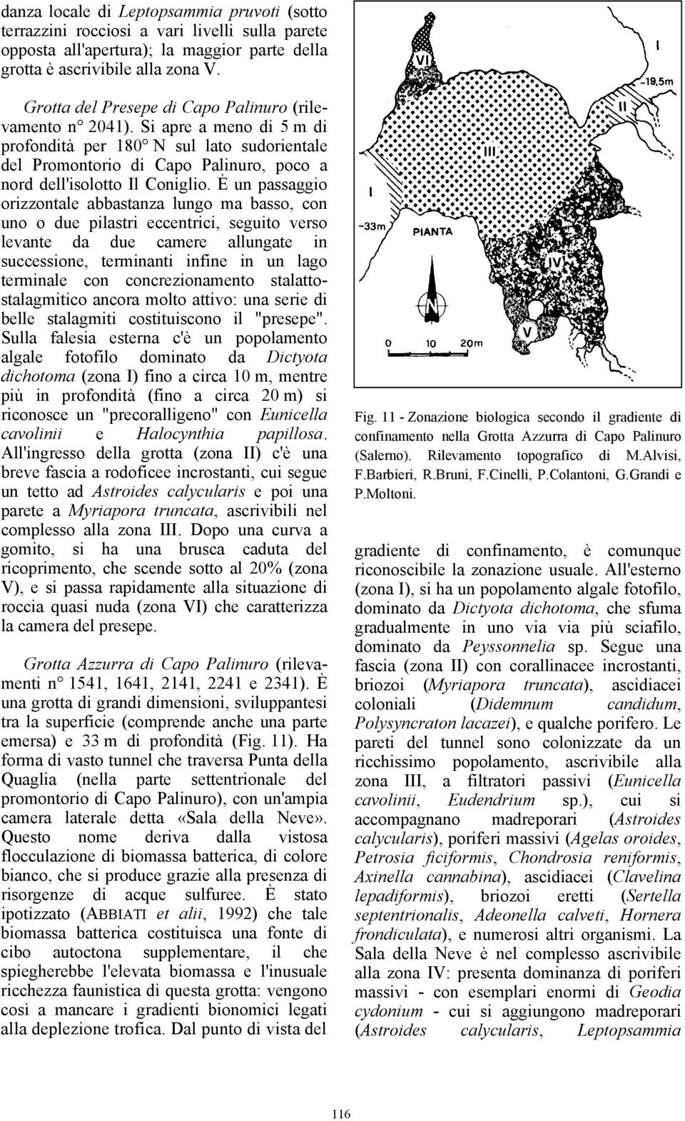 È un passaggio orizzontale abbastanza lungo ma basso, con uno o due pilastri eccentrici, seguito verso levante da due camere allungate in successione, terminanti infine in un lago terminale con