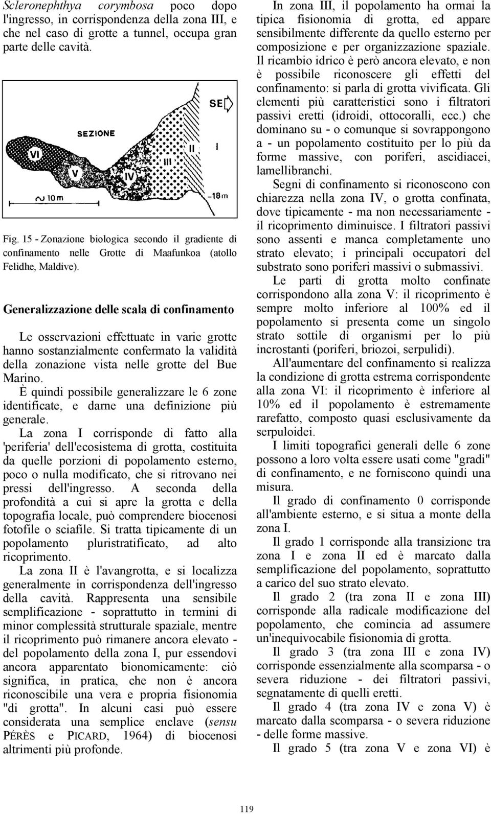 Generalizzazione delle scala di confinamento Le osservazioni effettuate in varie grotte hanno sostanzialmente confermato la validità della zonazione vista nelle grotte del Bue Marino.