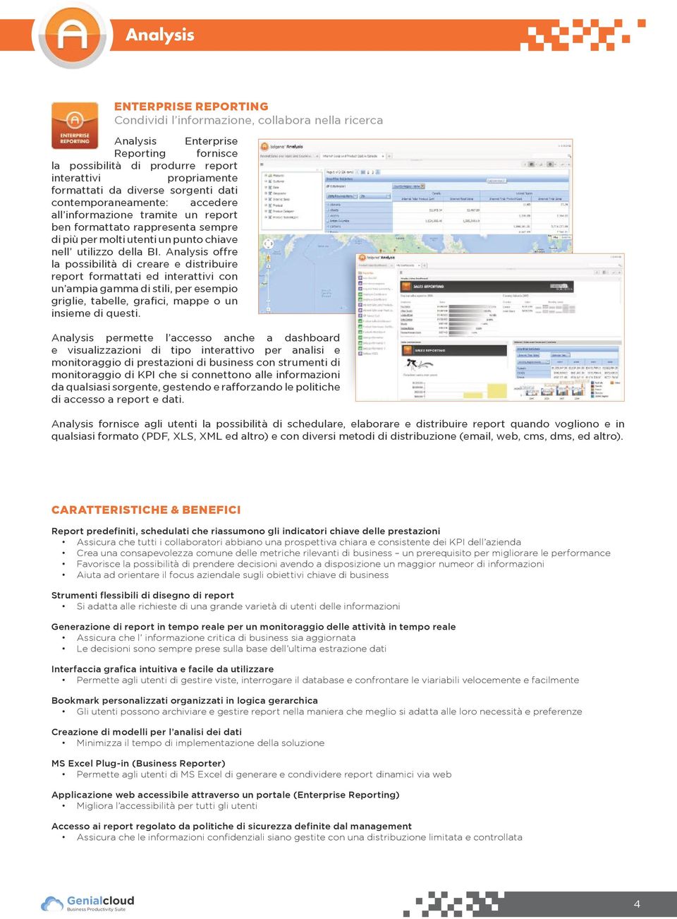 Analysis offre la possibilità di creare e distribuire report formattati ed interattivi con un ampia gamma di stili, per esempio griglie, tabelle, grafici, mappe o un insieme di questi.