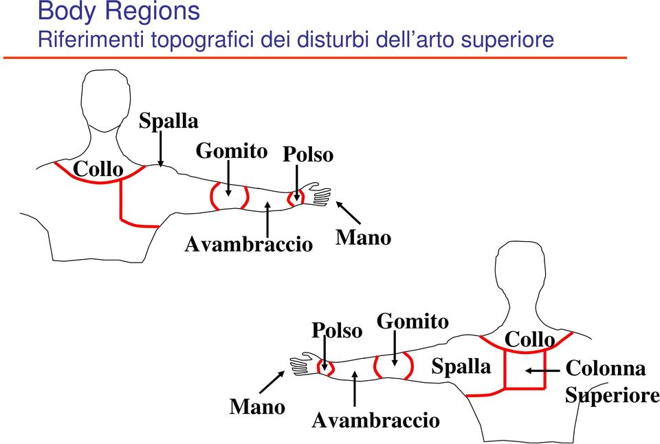 Gomito Polso Avambraccio Mano Mano Polso