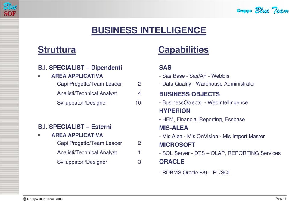 - Data Quality - Warehouse Administrator BUSINESS OBJECTS - BusinessObjects - WebIntellingence HYPERION - HFM, Financial Reporting, Essbase MIS-ALEA -