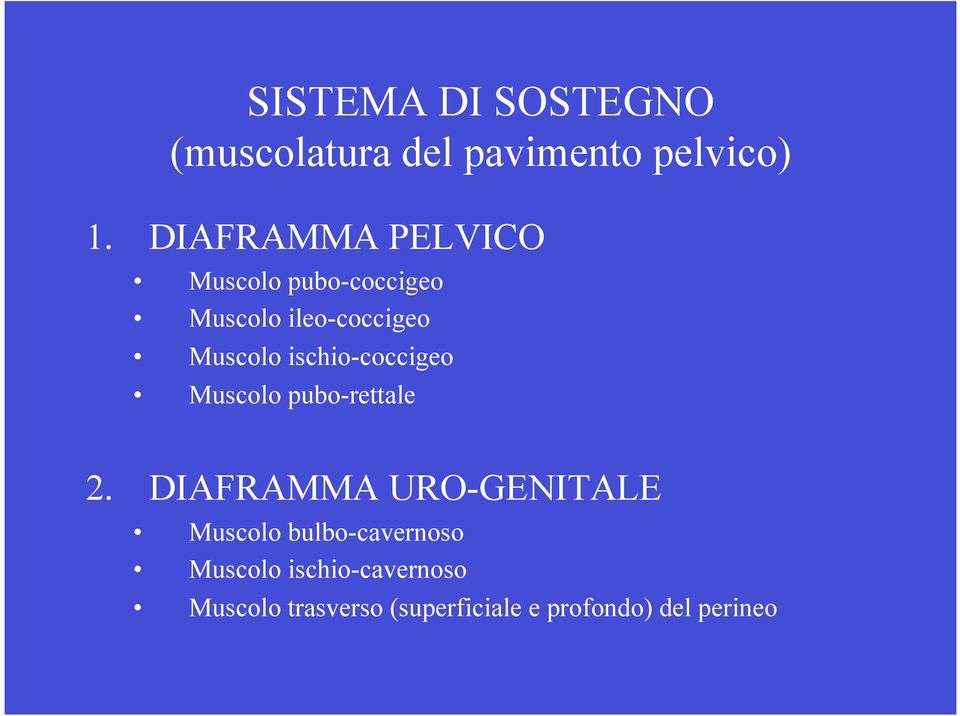 ischio-coccigeo Muscolo pubo-rettale 2.