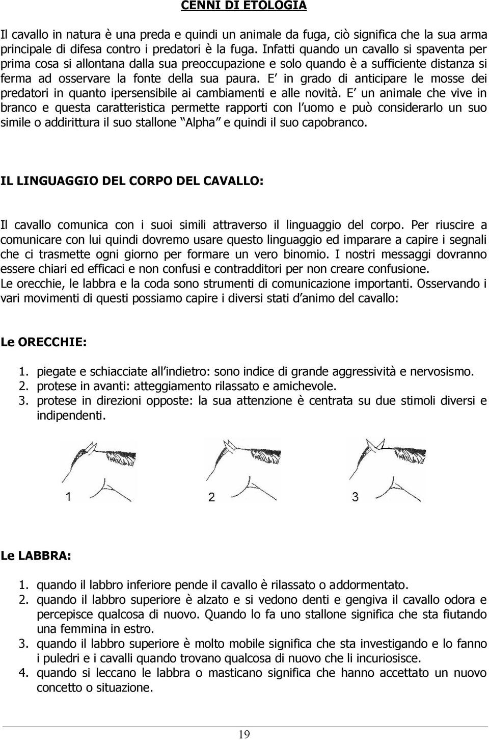 E in grado di anticipare le mosse dei predatori in quanto ipersensibile ai cambiamenti e alle novità.